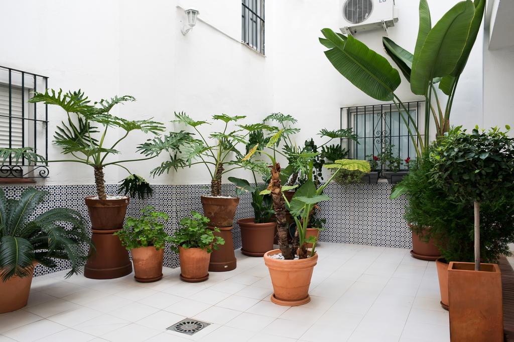 Urbanchicmalaga 3 Bedroom Spacious Quiet Historic Malaga Apt Extérieur photo